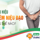 Viêm niệu đạo ở nam giới là gì, triệu chứng, cách chữa