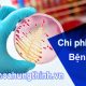 chi phí chữa bệnh lậu hết bao nhiêu tiền