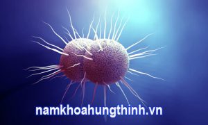 chữa bệnh lậu ở đâu