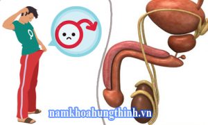 chữa rối loạn cương dương ở đâu