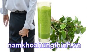 chữa bệnh trĩ bằng rau diếp cá