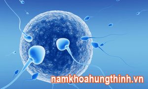 Quan hệ xong bao lâu tinh trùng gặp trứng