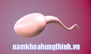 tinh trùng có màu hồng