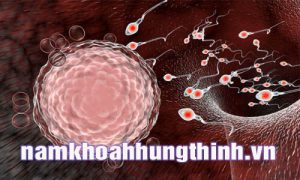 Tinh trùng có màu nâu đỏ có sao không