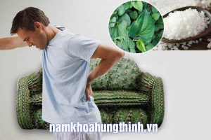 các cách giảm sưng đau búi trĩ